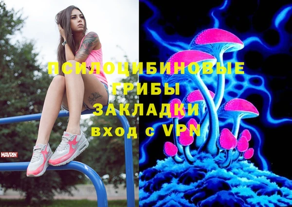 спиды Богородицк