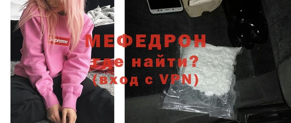 индика Богородск