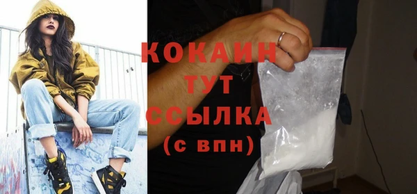 спиды Богородицк