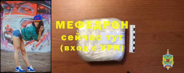 индика Богородск