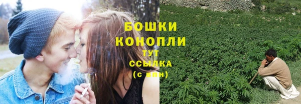 индика Богородск