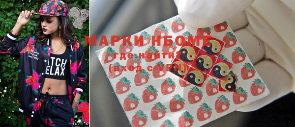 индика Богородск