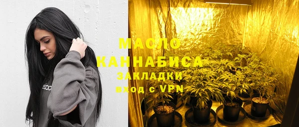 индика Богородск