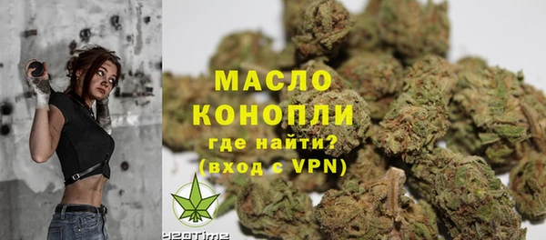 спиды Богородицк