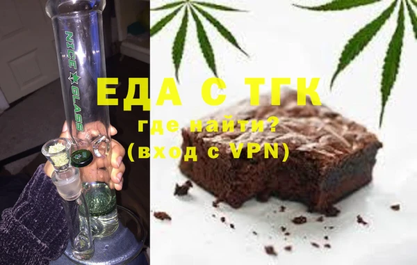 индика Богородск