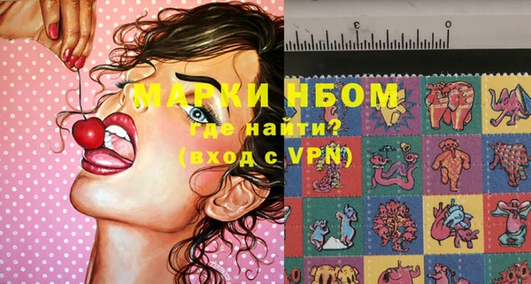 спиды Богородицк