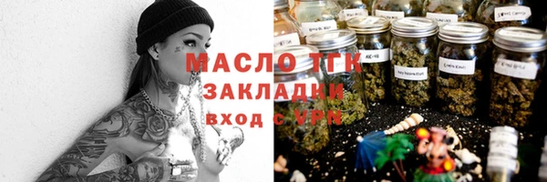 индика Богородск