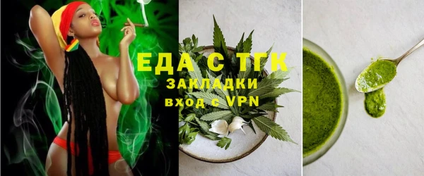 индика Богородск
