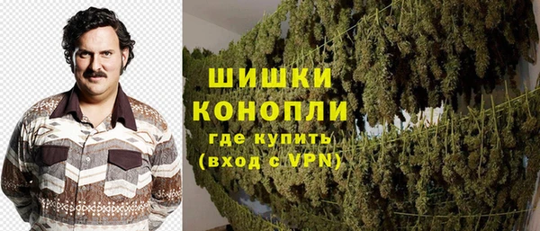 индика Богородск