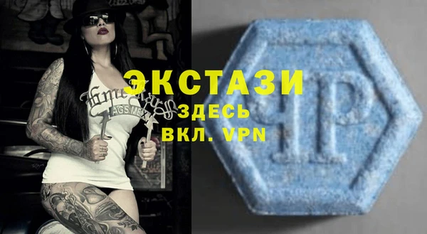 индика Богородск