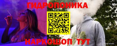 прущие грибы Татарск