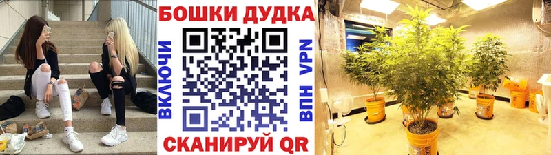 Канабис семена  Среднеуральск 